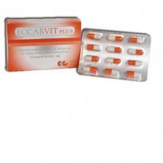 ECCARVIT Plus 12 циклов в секунду