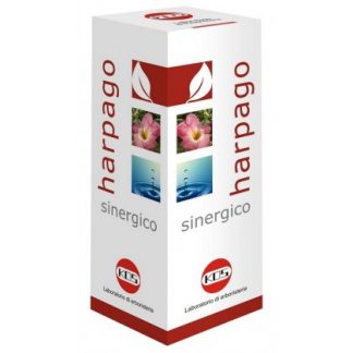 HARPAGO SYNERGIC GTT 100ML KO