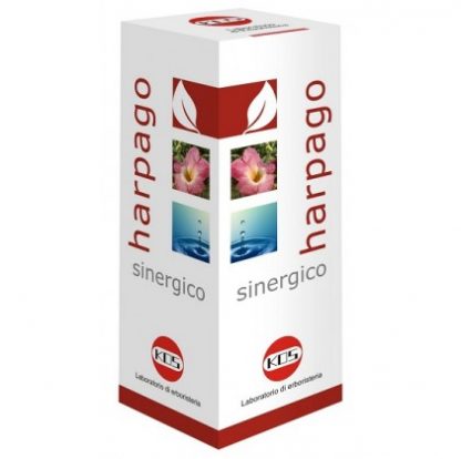 HARPAGO SYNERGIC GTT 100ML KO