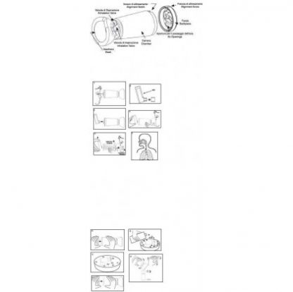 L'ESPACE Adult Male (пурпурный)