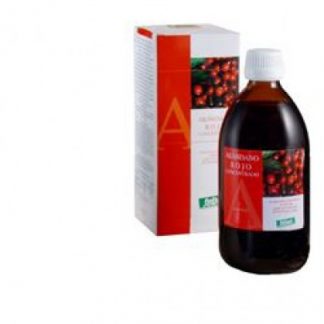BLUEBERRY Red Conc. 490 мл STV