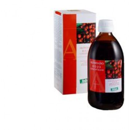 BLUEBERRY Red Conc. 490 мл STV