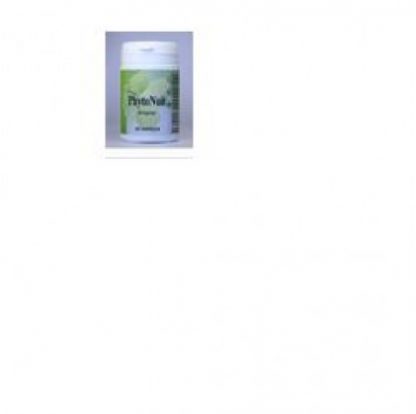 PHYTONUIT 60CPS