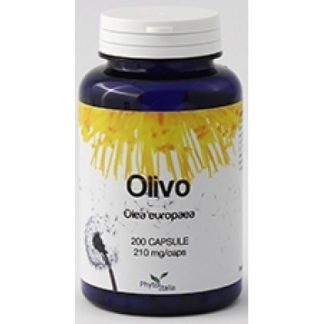 ОЛИВКОВОЕ ДЕРЕВО 60CPS