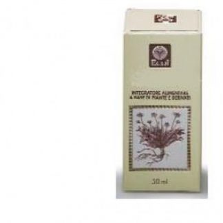 BURDARD ESTR ANALC 50 мл 789 EC