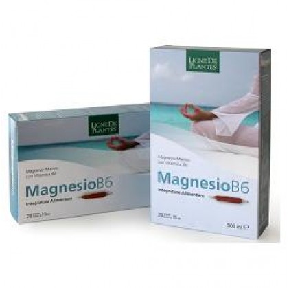 МАГНИЙ B6 20AB 15 мл