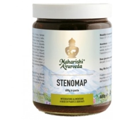 StenoMap Паста 600г