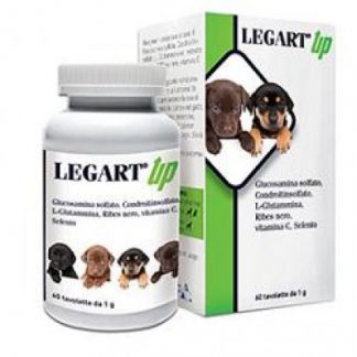 LEGART UP Vet.60 коп.