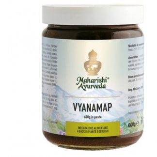 VyanaMap Паста 600г