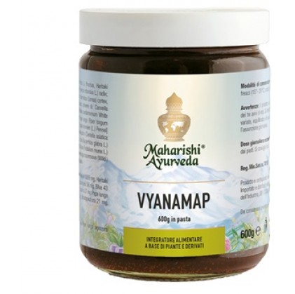 VyanaMap Паста 600г