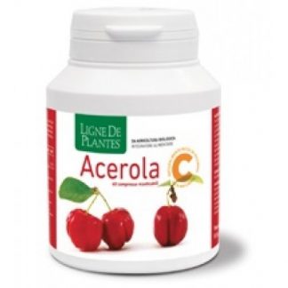 Мачта ACEROLA Bio 60 Cps. NS