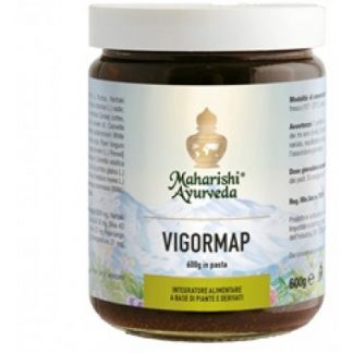 VigorMap Паста 600г