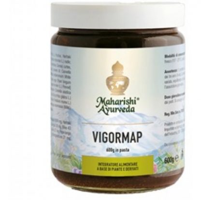 VigorMap Паста 600г