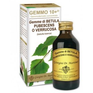 Gemmo 10+ White Birch Liquid безалкогольный 100 мл Джорджини