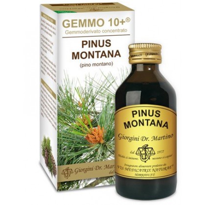 Pinus Montana Gemmo 10+ 100 мл Джорджини