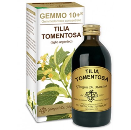 Лайм Argenteo Liquid безалкогольный Gemmo 10+ Джорджини