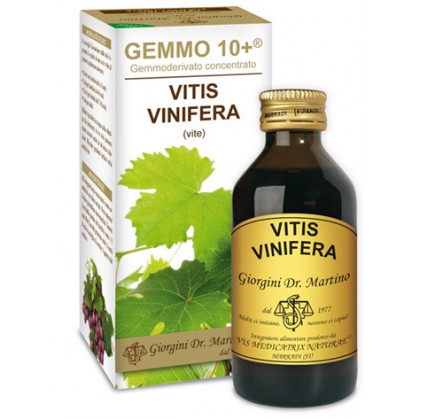 Vite Liquid Безалкогольный Gemmo 10+ Джорджини