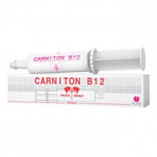 CARNITON B12 Паста Sir.100гр