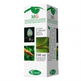 BETULA PUBESCENS 100 мл мг мг