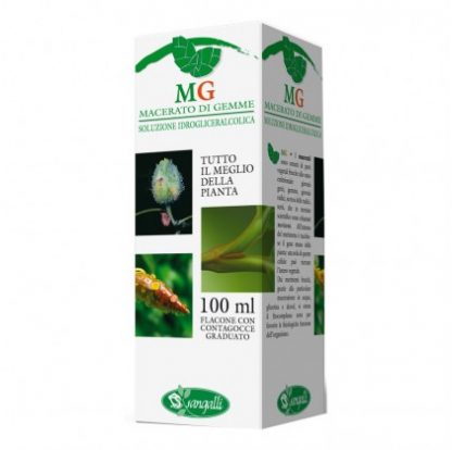 BETULA PUBESCENS 100 мл мг мг