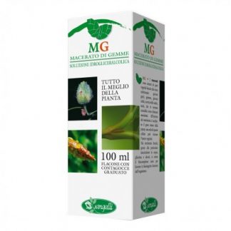 LIME ARGENT 100 мл мг
