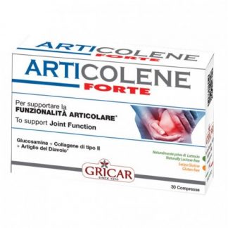 ARTICOLENE Fte Int. 60 Табл.