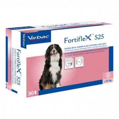 FORTIFLEX 525 мг 30 копий