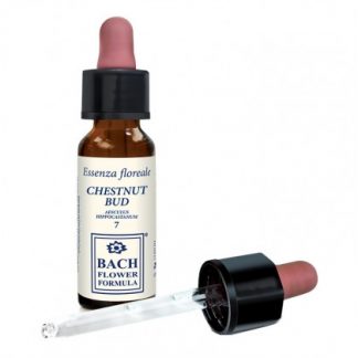 Каштановый бутон Original 10ml Drops Erbavita