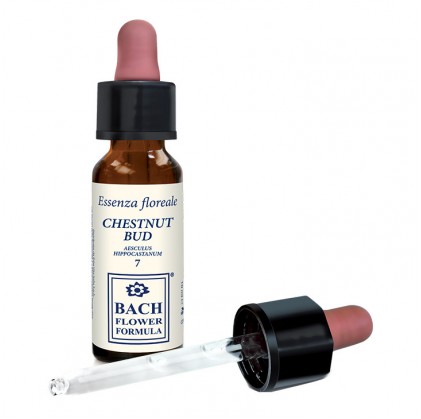 Каштановый бутон Original 10ml Drops Erbavita