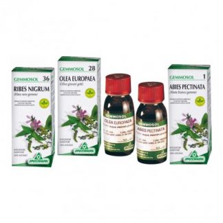 Черная смородина 1 DH Buds 50 мл