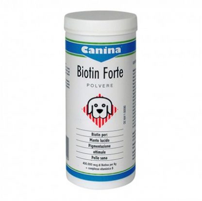 БИОТИН FORTE POLV 200G