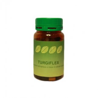 ТУРГИФЛЕКС 60 Гц