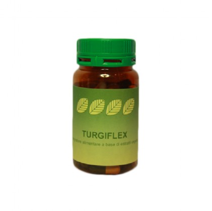 ТУРГИФЛЕКС 60 Гц