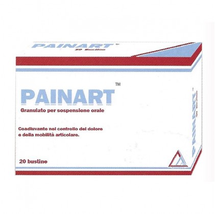PAINART 20 бюст