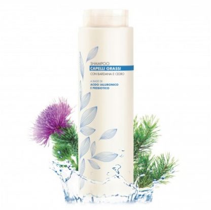 Шампунь Cosmetics Pers Greasy Hair Erbavita