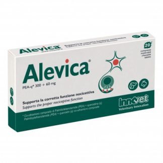 Мачта ALEVICA 20 Cpr.