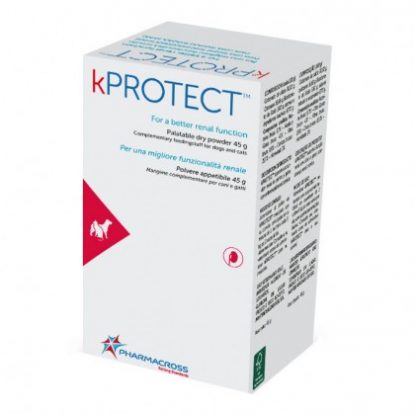 KPROTECT Порошок 45г