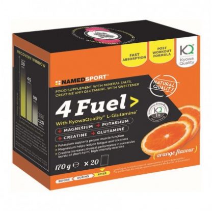 4FUEL 20 Бюст.