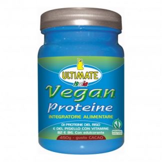 VEGAN Protein ?? Какао 450гр.