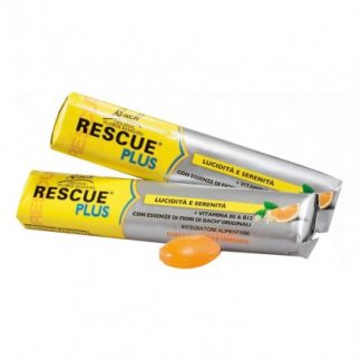 RESCUE Plus 10, Конференция имени Самбуко