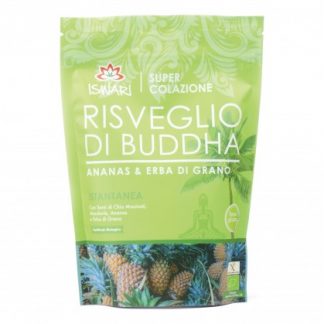 ПРОБУЖДЕНИЕ БУДДЫ АНАНА