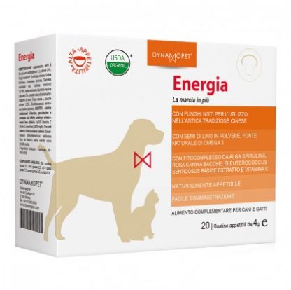 ENERGY 20BUST 4G
