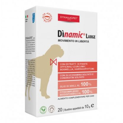ДИНАМИЧЕСКИЙ БОЛЬШОЙ 20BUST 10G
