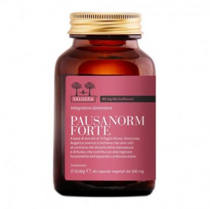 PAUSANORM FORTE 60CPS (I6 / 073)