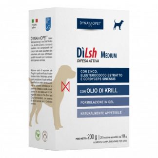 DILSH MEDIUM DOGS 20BUST