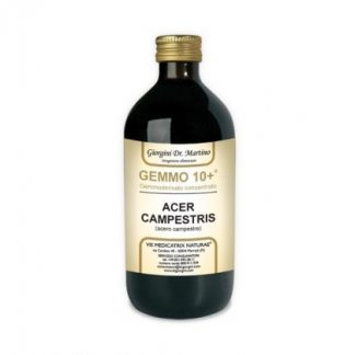 Клен полевой 500 мл Gems безалкогольные 10+ Джорджини