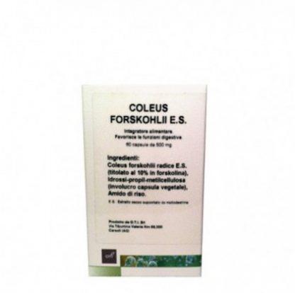 Coleus Forskohlii 30 капсул OTI