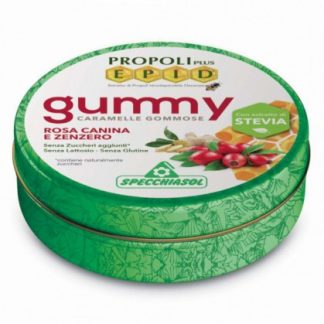 Epid Gummy Rosehip and Ginger 40 г