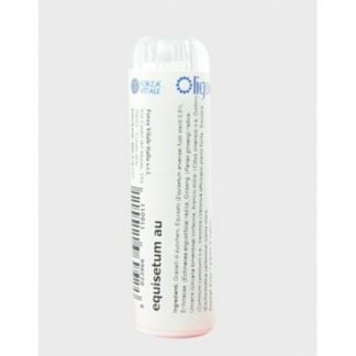 Equisetum AU 100 Gobluli Vital Force