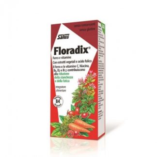 Утюг Floradix Supplement 250 мл